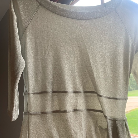 Shimmery Gown - Picture 3 of 4